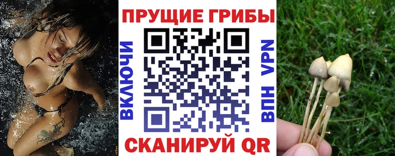 мориарти формула  KRAKEN tor  Яхрома  Галлюциногенные грибы GOLDEN TEACHER 